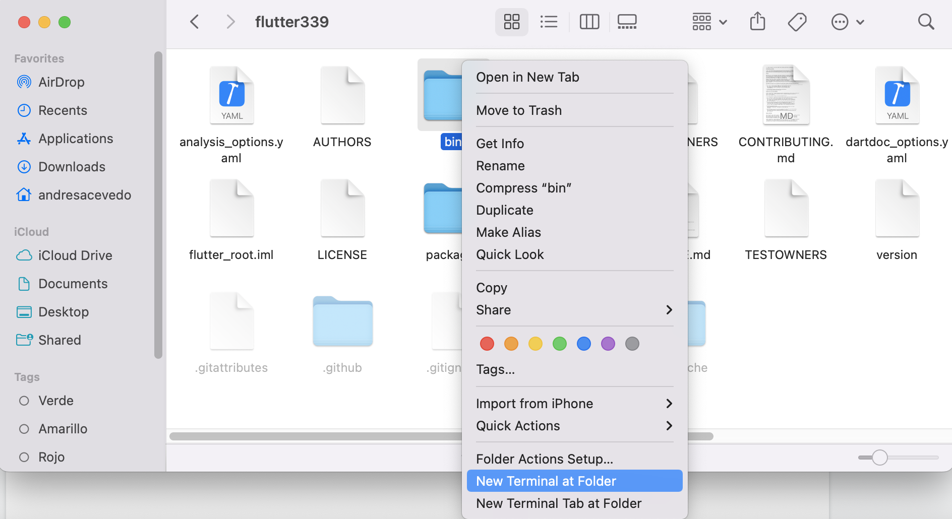 Opening flutter folder in a new terminal window