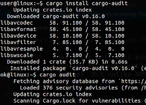 Keep Your Rust Code Exploit Safe